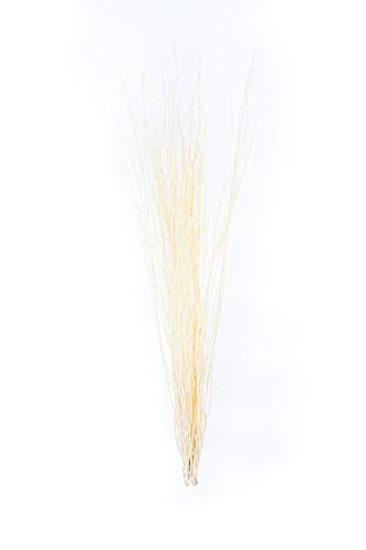 LEEWADEE Mazzo per Vaso da Pavimento: 10 Rami