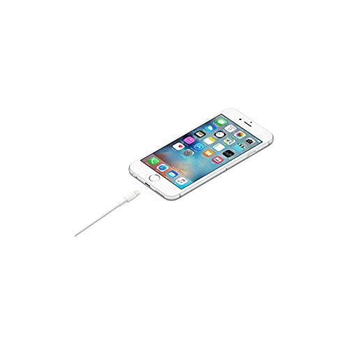 Image of Apple Lightning to USB Cable (1 m)