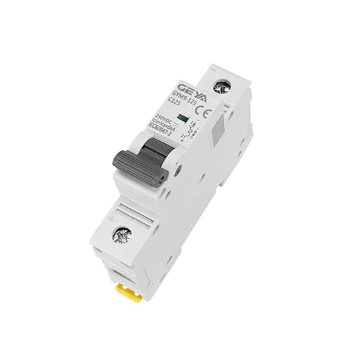 MIDILI DC �~�j�`���A �T�[�L�b�g�u���[�J�[ 80A 100A 125A 6KA 1P 250VDC �~�j�T�[�L�b�g�u���[�J�[ ���[���^�C�v DC �T�[�L�b�g�u���[�J�[ GYM9-125 (�J���[: 125A�A�T�C�Y: 1�� 250VDC)