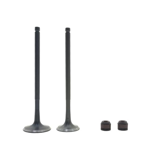 Joint d'huile de tige de soupape étanche pour BSE J5 et RX3