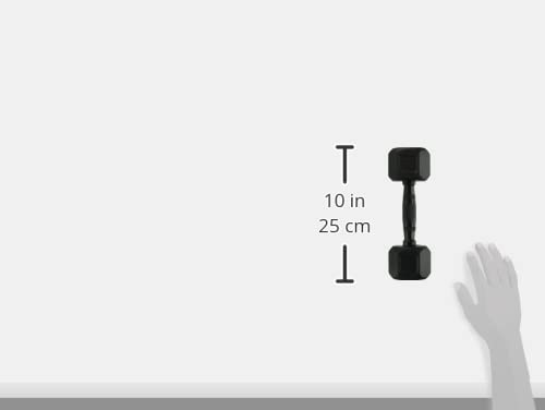 ALEX製 ラバー HEXダンベル10kg×2 新品☆ 楽天市場】アレックス ラバーヘックスダンベル（10kg）2個セット
