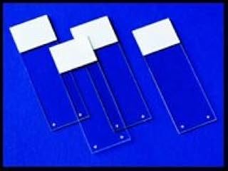 6358725 PT# 4951+ Slide Microscope SuperFrost Plus Glass/ Frosted 25x75mm 72/Pk Made by Erie Scientific