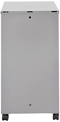 Lorell 16873 2-Drawer Mobile File Cabinet, 18-Inch Depth - Gray #TOP4