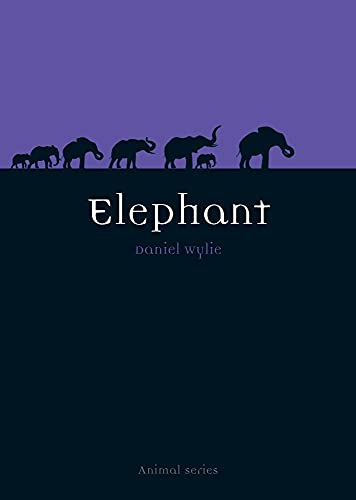 Elephant view 2