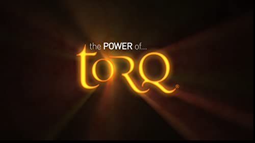 Torq Bar Organic Mango - Pack of 15