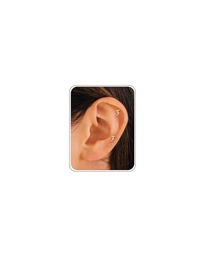 HANLI Flat Back Earrings - 14K Gold Plated Small Hammerhead Shark Gold Flat Back Stud Earrings Hypoallergenic Cartilage Helix Piercing Jewelry