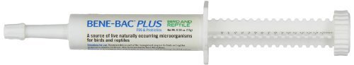 Bene-bac Bird Plus Prebiotic Gel, Pro Lot, 15 GM by Petag Inc.