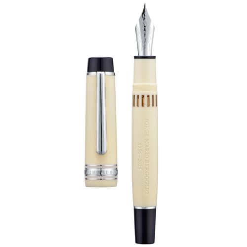 Stylo-plume anti-fuite à réservoir d'encre visible et plume fine F