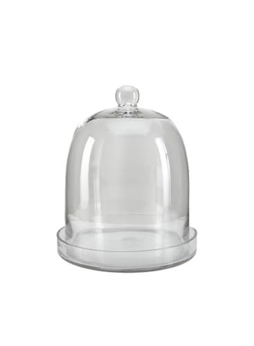 Serene Spaces Living Glass Cloche, Ideal as a Terrarium, Great to Hold Airplants, Flower Blooms, Accessories, Photos, Candles, Dessert Display, Home, Office Decor, Gift Idea, 11" Diameter & 13" Tall