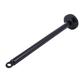 Amazon.co.jp: プレートラック - ウェイトラック: スポーツ