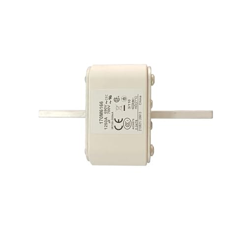 Componentes electrónicos de protección: Fusible rápido 170M6166 de bajo voltaje 5