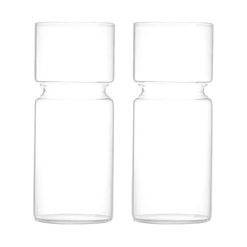 Sharplace 2x Vaso in Vetro per Piante Giacinto, Contenitore per Decorazione