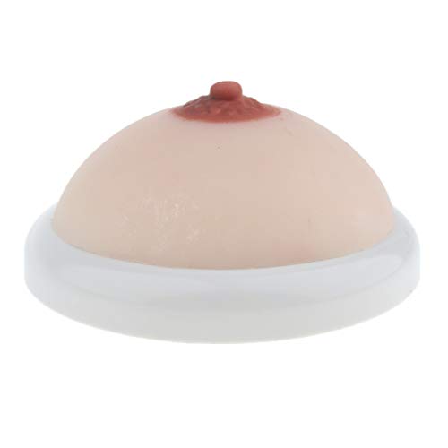 #N/A Education Sets Breast Stimulation Teaching Tool for Breast Feeding
