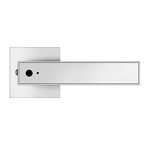 Review de Cerraduras lock Top cinco. 33 Ruiqas Cerradura de Puerta de Huellas Dactilares Biométricas Cerradura de Puerta sin Llave para El Hogar Apartamento Oficina de Hotel (No Incluye Batería)