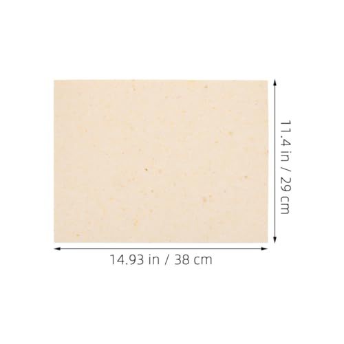 Espuma Protectora Resistente al Calor 29x38cm 2 Unidades 3