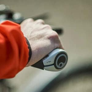 Ergon GP1 Ergonomic Bike Handlebar Grips | Lock-on | MTB Mountain, Hybrid, E-Bike | Regular or Gripshift or Rohloff/Nexus Versions | Small or Large, Pair Grips
