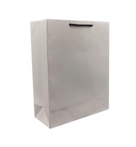 TASCHE Medium Gift Bags for Gifting, Weddings, Birthday,Holiday Presents White (12 x 9.5 x 4 Inch | Pack of 30) (B0CJPDLSJV) Amazon Price History, Amazon Price Tracker