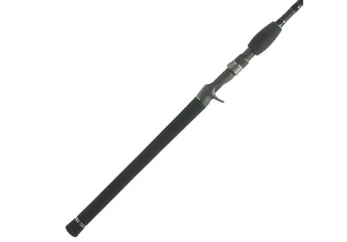 Best Fishing Rod For Swimbaits