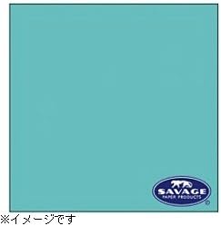 Amazon サベージ サベージ背景紙 バックペーパー No 47 ベビーブルー Savage サベージ バックペーパー 背景布 Amazon サベージ サベージ背景紙 バックペーパー No 47 ベビーブルー Savage サベージ バックペーパー 背景布