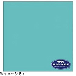 Amazon | Savage（サベージ） バックグラウンドペーパー ベビーブルー