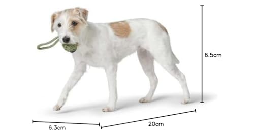 HUNTER Hundespielzeug Inari S lindgrün, Ø = 6 cm (20 cm Gesamtlänge)