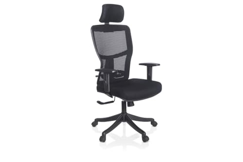 Image of Ergoline Abs with Mesh Ergo HB ML Office Chair, Mesh Ergonomic Office Chair for Work from Home,Adjustable Lumbar Support, Gaslift & Headrest with Adjustable Arms