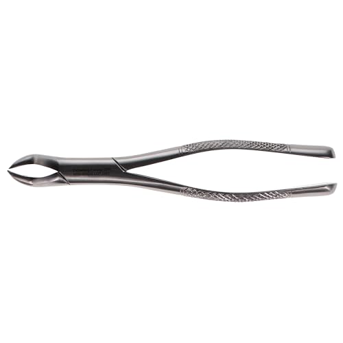 House Brand Dentistry 300292 HSB Dental Extraction Forceps #88R