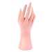 KGDC Présentoirs à Bijoux Mannequin Main Doigt Doigt Gant Bracelet Bracelet Bijoux Porte-Stand Support Boîtes à Bijoux et présentoirs (Color : C)
