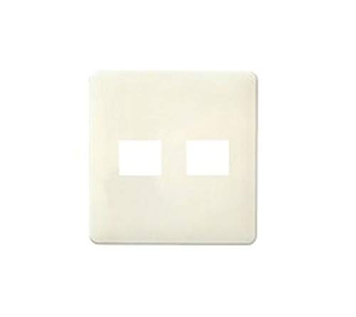 パナソニック(Panasonic) フルカラーモダンプレート1+1コ用 WN6072G