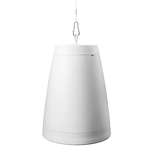 OSD Audio Nero ARC 8 Inch Professional Hanging Pendant Subwoofer 300W, 8” Graphite Cone, Safety Cable Suspension, Hardware Included (White)