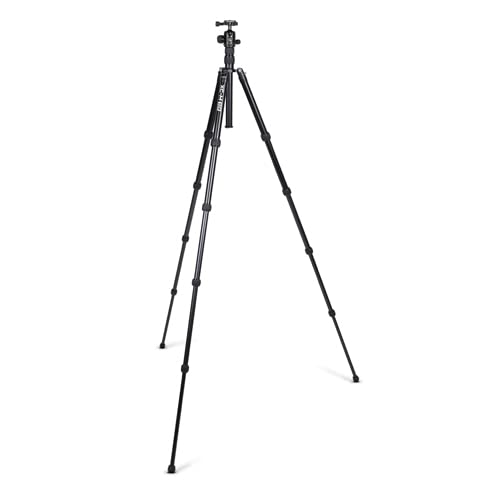 Amazon.com : ProMaster XC-M 528K Professional Tripod Kit with Head