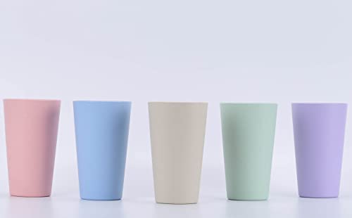LuckyZone Wheat Straw Unbreakable Cup | 20 oz Reusable Water Drinking Glasses Sets of 5 | Lightweight Tumbler for Kitchen Outdoor | Dishwasher Safe, BPA Free and Eco friendly (20 oz, 5 Color_A)