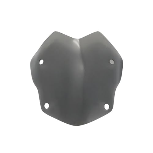 Déflecteurs de pare-brise moto R1250GS robustes bulle transparente