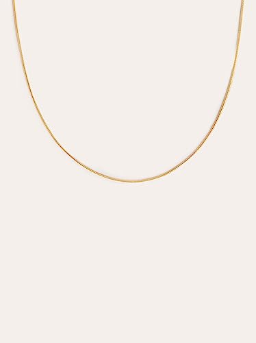 Collier Tail Singularu anti-ternissement en acier inoxydable
