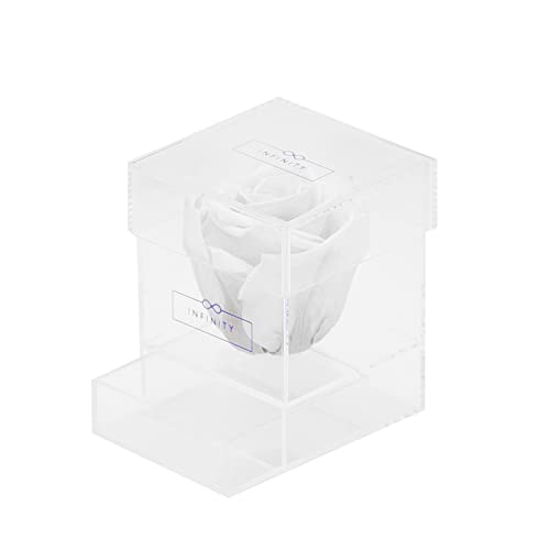 Infinity Flowerbox - Auténticas Rosas Infinity Que Duran 1-3 años sin Agua | Caja acrílica con Rosa Blanca Duradera - Regalo para ti