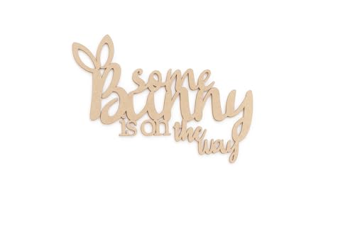 Some Bunny is on the Way Sign – Baby Shower...