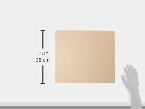 image for Outset, Pizza Grill Stone: 14 x 16-inch, 14 x 16