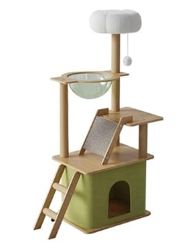 Lbg^[ L^[ _}`x[WA\bhEbhLbgc[ 360°FD Lp}`C[vbgtH[t ؐ 萫 ȒP  ^Lp   芴 ^s TCU[v