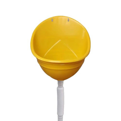 jpǊ|vX`bN֊A֊AEK[WEnELvp򎮉OgC