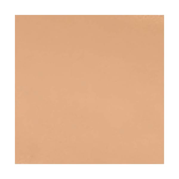 wet n wild Photo Focus Concealer, Light/Med Beige, Under Eyes, Makeup, Blemish, Full Coverage, Lightweight