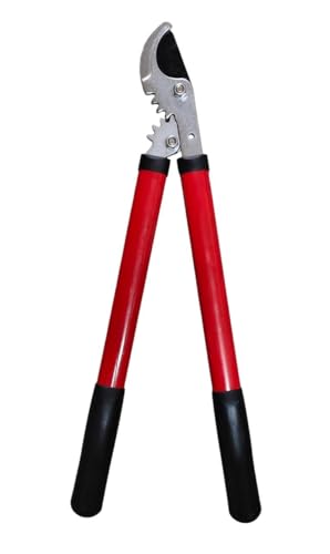 Image of DAP 8321D Bypass Action Gear Lopper | Carbon Steel Blade Branch Cutter | Professional Tree Trimmer for Home Garden | Heavy Duty Plant & Branch Cutting Tool