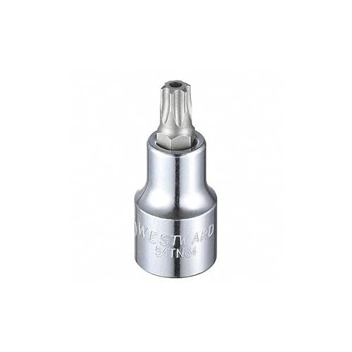 Socket Bit, Steel, 1/2 in, TpSz T50