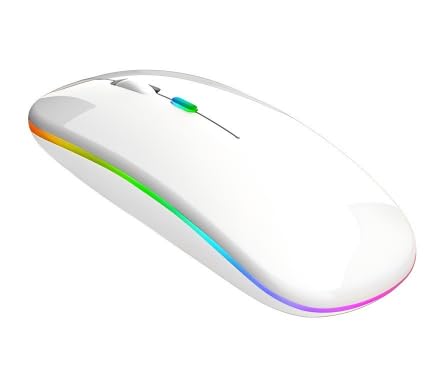Souris sans Fil Rechargeable, Souris Bluetooth (BT 5.1+2.4G sans Fil), 1200 DPI Souris Silencieuse Ultra-Mince, Wireless Mouse Deux Modes pour...