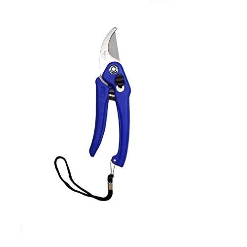 Garden Shears Pruners Scissor, Pruning Seeds (Any Color) Amazon.in