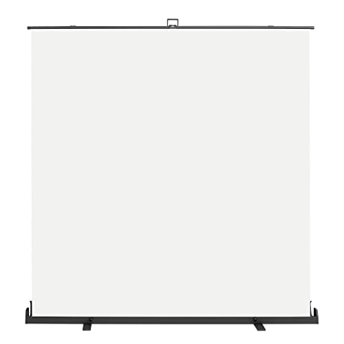 walimex pro Roll-Up Panel Hintergrund 210 x 220 cm, Weiß
