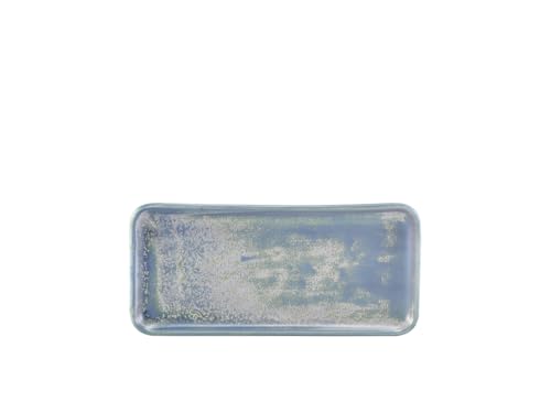 Genware Terra Porcelain Seafoam Narrow Rectangular Platter, 27cm, NR-PSF27, Pack of 6, 270 mm Length - Image 2