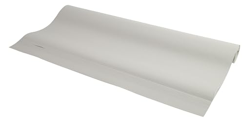 Exacompta - Réf. 41654E - Carton de 5 recharges papier FOREVER pour tableaux de conférence - papier recyclé 80 g/m2-20 feuilles unies microperforées -...