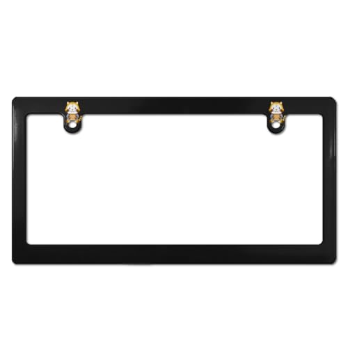 あらいぐまラスカル ナンバープレート フレーム ナンバーフレーム 普通車 軽自動車適用 装飾ボーダー タグ装飾 耐久性 カーアクセサリー 錆びにくい おしゃれ ?り物