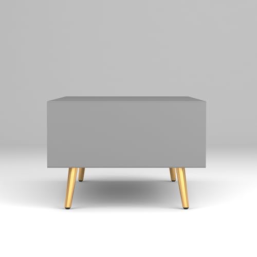 Image of ONIJA Modern Coffee Table for Living Room | HDMR Premium Wood Center Table with Storage Shelf | Matte Finish Coffee Table | Wooden Tea Table with Sturdy Legs (Grey)