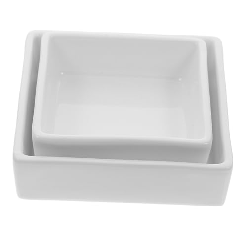 GALPADA 2pezzi Ciotola Per Snack Ciotola Quadrata in Per Dessert Contenitore Per Intingere Salse Forniture Da Cucina Adatto Per Frutta Insalata Snack e Dessert